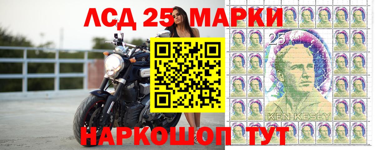 Новокубанск  Наркотические марки 1500мкг  Вход с VPN  Наркотические марки 1500мкг 