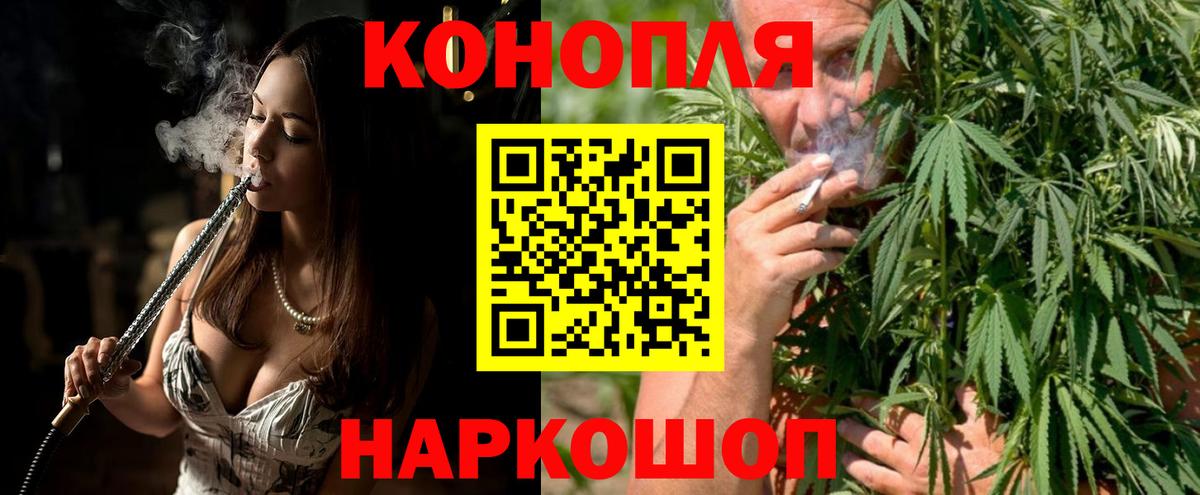 Шишки марихуана марихуана Новокубанск